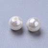Shell Pearl Beads BSHE-L042-B04-2
