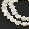 Natural White Shell Beads Strands SHEL-F003-07-6