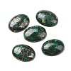 Natural Malachite Cabochons G-E464-42U-1