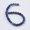 Natural Sodalite Beads Strands X-G-G515-6mm-07-2