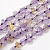Natural Ametrine Beads Strands G-K202-25-1