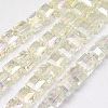 Pearl Luster Plated Crystal Glass Beads Strands EGLA-F016-B05-2