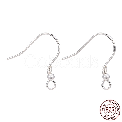 925 Sterling Silver Earring Hooks STER-M031-02S-1
