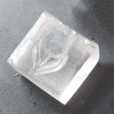 Resin Chapter DIY-WH0183-17G-1