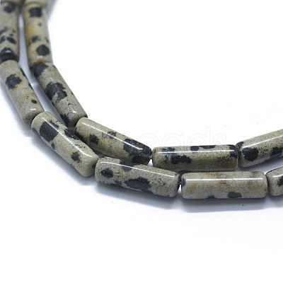 Natural Dalmatian Jasper Beads Strands G-F631-D23-1
