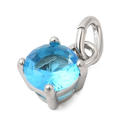 Birthdaystone Theme December 304 Stainless Steel Charms STAS-B128-60P-12-1