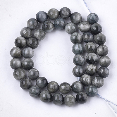 Natural Hawk's Eye Beads Strands G-S333-10mm-034-1