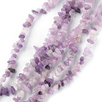 Natural Lepidolite/Purple Mica Stone Beads Strands G-G0003-B07-1