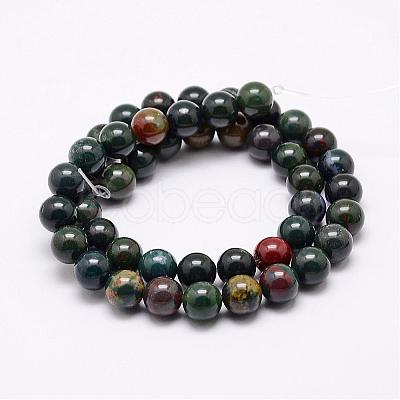 Natural Indian Bloodstone Beads Strands G-P257-07-6mm-1