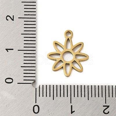 304 Stainless Steel Charms STAS-S123-01G-10-1