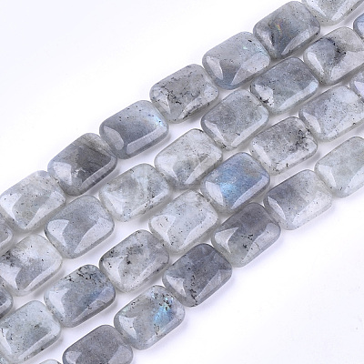 Natural Labradorite Beads Strands X-G-T121-13-1