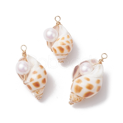 20Pcs Natural Spiral Shell Copper Wire Wrapped Pendants PALLOY-JF03226-01-S-1