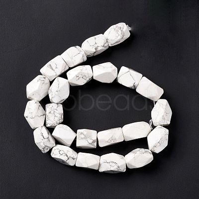 Natural Howlite Beads Strands G-L235A-14-1