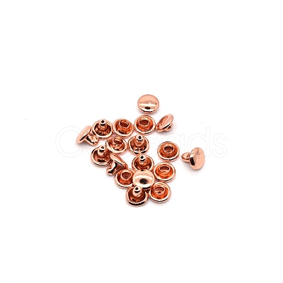 Brass Rivets PW-WG2BECC-22-1