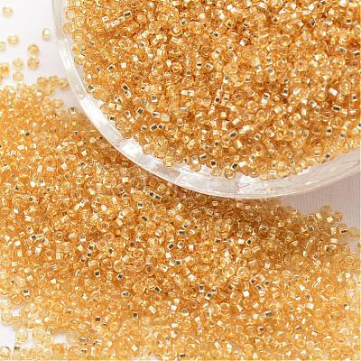 12/0 Round Glass Seed Beads SEED-J018-F12-62-1