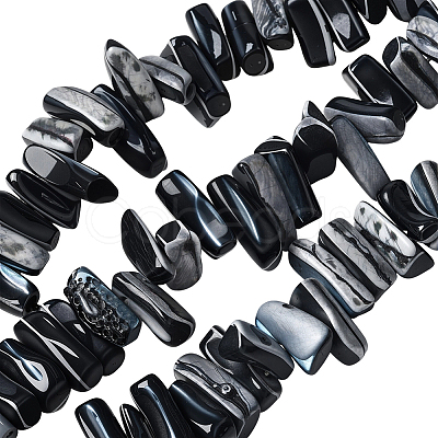 1 Strand Dyed Natural Trochus Shell Beads Strands SSHEL-PA0001-01C-1