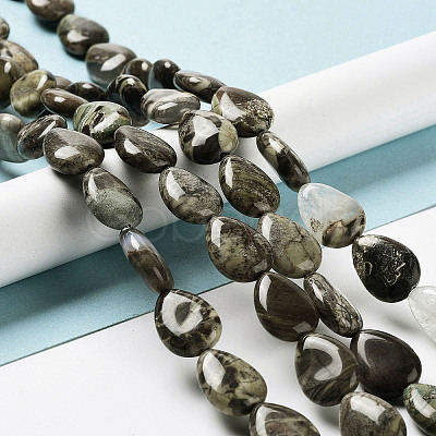 Natural Wealth Stone Jasper Beads Strands G-L242-32-1