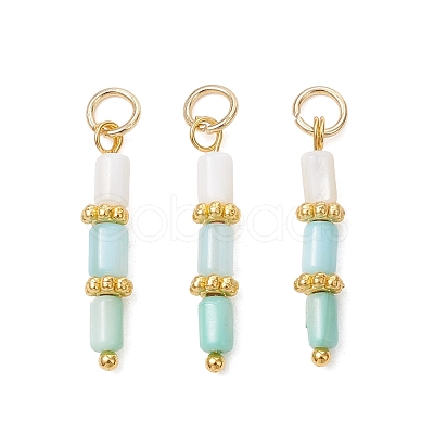 Dyed Natural Freshwater Shell Beaded Pendants PALLOY-JF05024-02-1