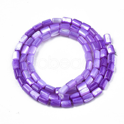Natural Trochid Shell/Trochus Shell Beads Strands SHEL-N003-26-B02-1