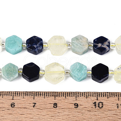 Natural Sodalite & Flower Amazonite & Lemon Quartz Beads Strands G-N358-03A-06-1