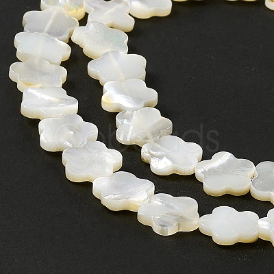 Natural White Shell Beads Strands SHEL-F003-07-1