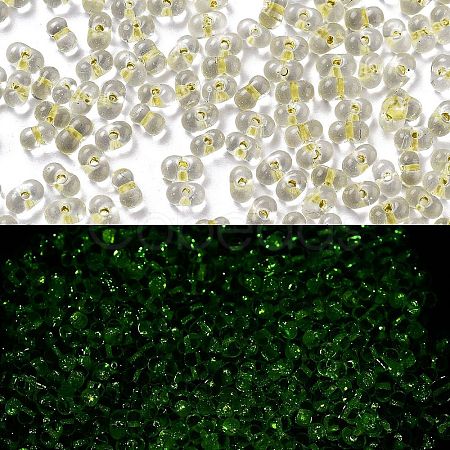 Luminous Glass Seed Beads SEED-A033-07K-1