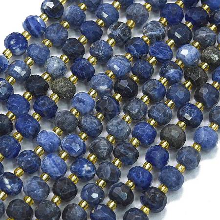 Natural Sodalite Beads Strands G-K389-E74-01B-1