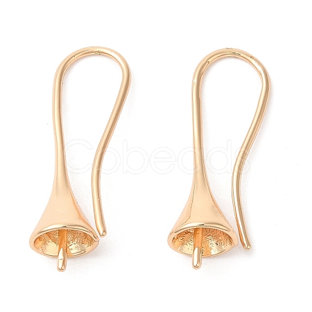 Brass Earring Hooks KK-Q770-10G-1