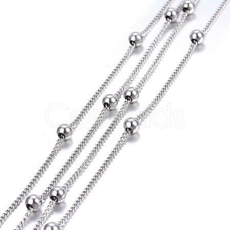 Non-Tarnish 3.28 Feet 304 Stainless Steel Twisted Chains/Curb Chains X-CHS-H024-01P-A-1