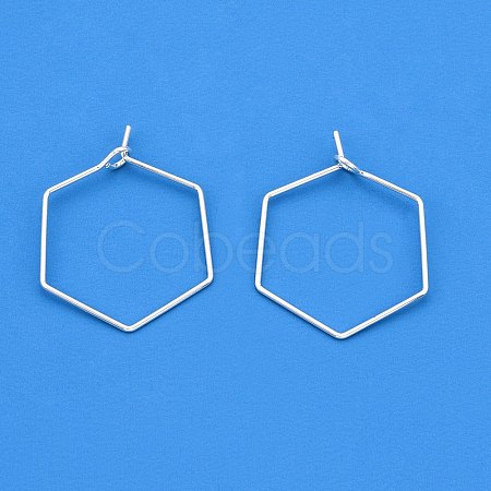 Brass Earring Hooks KK-WH20013-04S-A-1