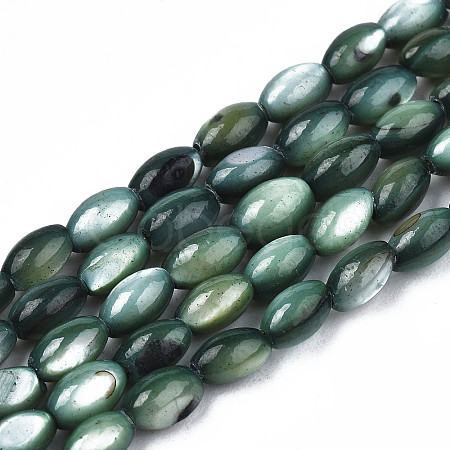 Natural Freshwater Shell Beads Strands X-SHEL-N003-25-B01-1