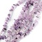 Natural Lepidolite/Purple Mica Stone Beads Strands, Chip, 1.5~4.5x3~13x2.5~8mm, Hole: 0.6mm, 30.94~31.97 inch(78.6~81.2cm)