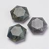 Natural Labradorite Pendants G-P264-01-1