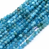 Natural Apatite Beads Strands G-E411-36-2mm-01-1