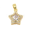 Brass Micro Pave Cubic Zirconia Charms KK-R227-04G-1