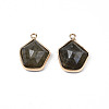 Natural Labradorite Pendants G-S359-381-2