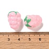Handmade Lampwork Beads Strands LAMP-G162-05H-4