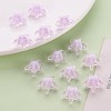 Transparent Acrylic Beads TACR-S152-11A-09-6