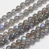 Natural Labradorite Round Bead Strands G-M263-B-03-1