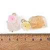 Raw Rough Natural Mixed Gemstone Pendants PALLOY-JF06069-3