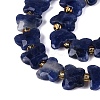 Natural Sodalite Beads Strands G-N371-10A-03-4