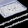 SUNNYCLUE 2 Strands Natural Rainbow Moonstone Chip Beads Strands G-SC0002-51-1