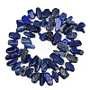 Natural Lapis Lazuli Beads Strands G-L657-E01-01-3