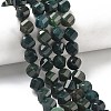 Natural Moss Agate Beads Strands G-C267-B23-1