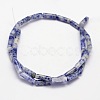 Natural Blue Spot Jasper Column Beads Strands G-F247-02-2