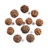 Undyed Natural Rudraksha Beads WOOD-T030-01-6