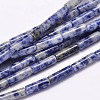Natural Blue Spot Jasper Column Beads Strands X-G-F247-02-1