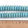 Dyed Natural Magnesite Beads Strands G-B173-A01-02-5