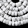 Natural Howlite Heishi Beads Strands G-A299-A08-01-5
