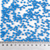 Baking Paint Glass Seed Beads SEED-S003-K17-3